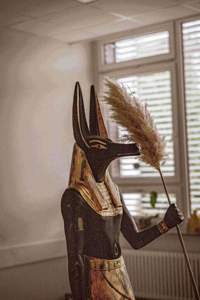 Eine Statue von Anubis, dem altägyptischen Gott mit dem Kopf eines Schakals, hält eine schilfartige Pflanze in einem Innenraum mit Fenstern im Hintergrund.