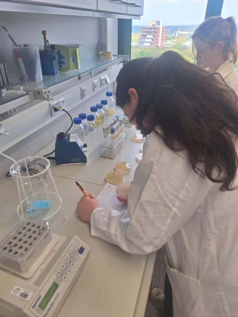 Zwei Personen in weißen Laborkitteln arbeiten an einem Labortisch, schreiben Notizen und untersuchen Petrischalen, während im Hintergrund Laborgeräte und Flaschen zu sehen sind.