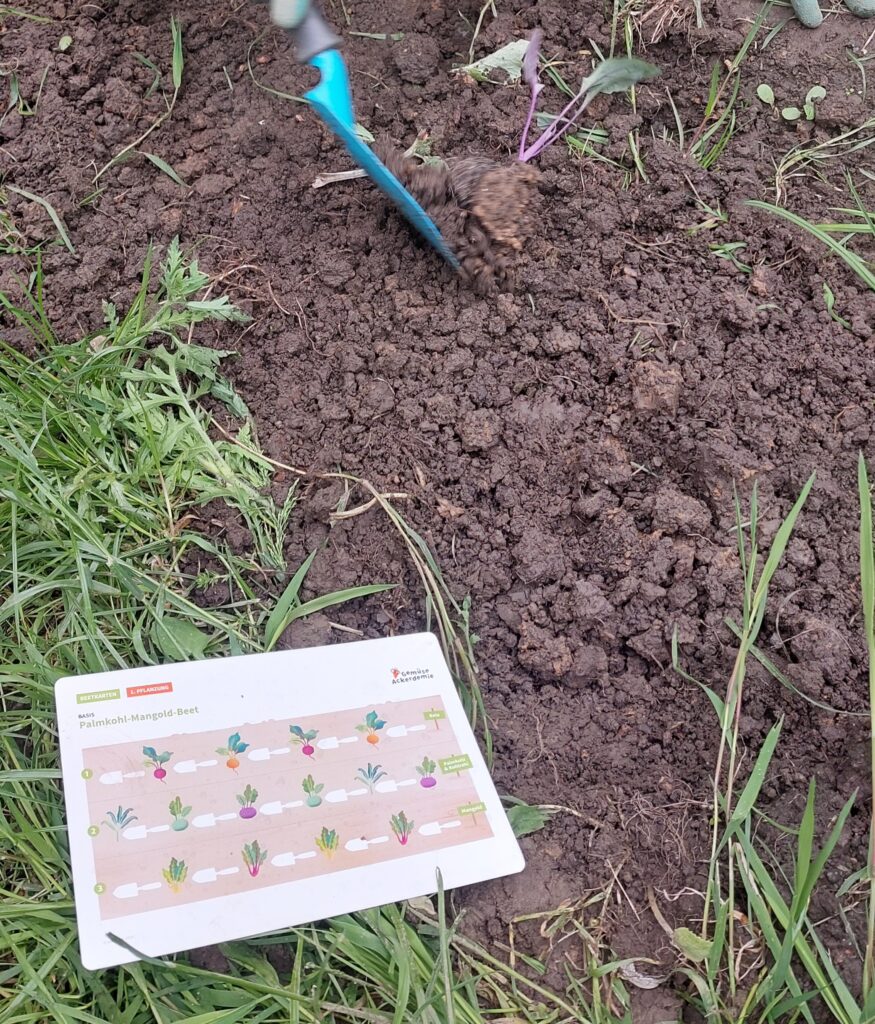 Eine Hand pflanzt einen jungen Setzling in die Erde; auf dem Rasen daneben liegt ein bunter Pflanzführer mit Illustrationen, der Vorschläge für die Gartengestaltung enthält.
