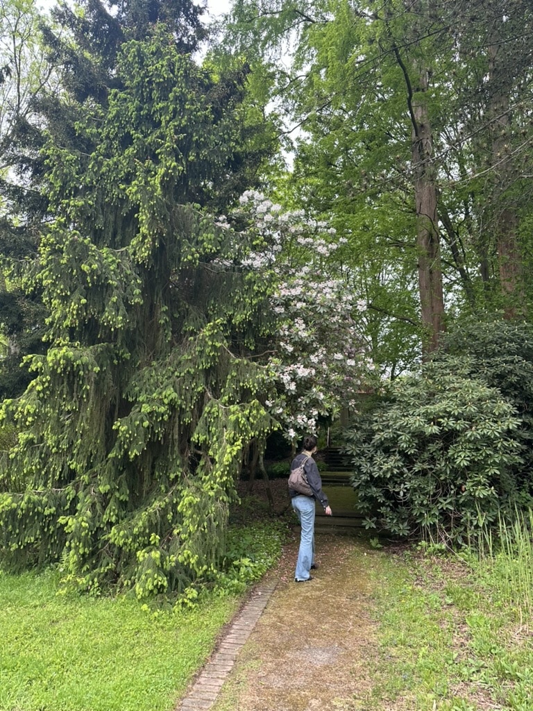 Eine Person steht auf einem moosbewachsenen Weg, umgeben von hohen Bäumen und blühenden Sträuchern, und blickt auf einen schattigen Platz in einem üppigen, grünen Garten.