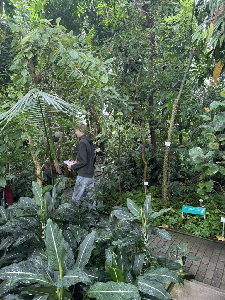Eine Person im Kapuzenpulli steht in einem Gewächshaus zwischen üppig grünen Pflanzen und Bäumen, neben Schildern zur Kennzeichnung verschiedener Pflanzenarten.