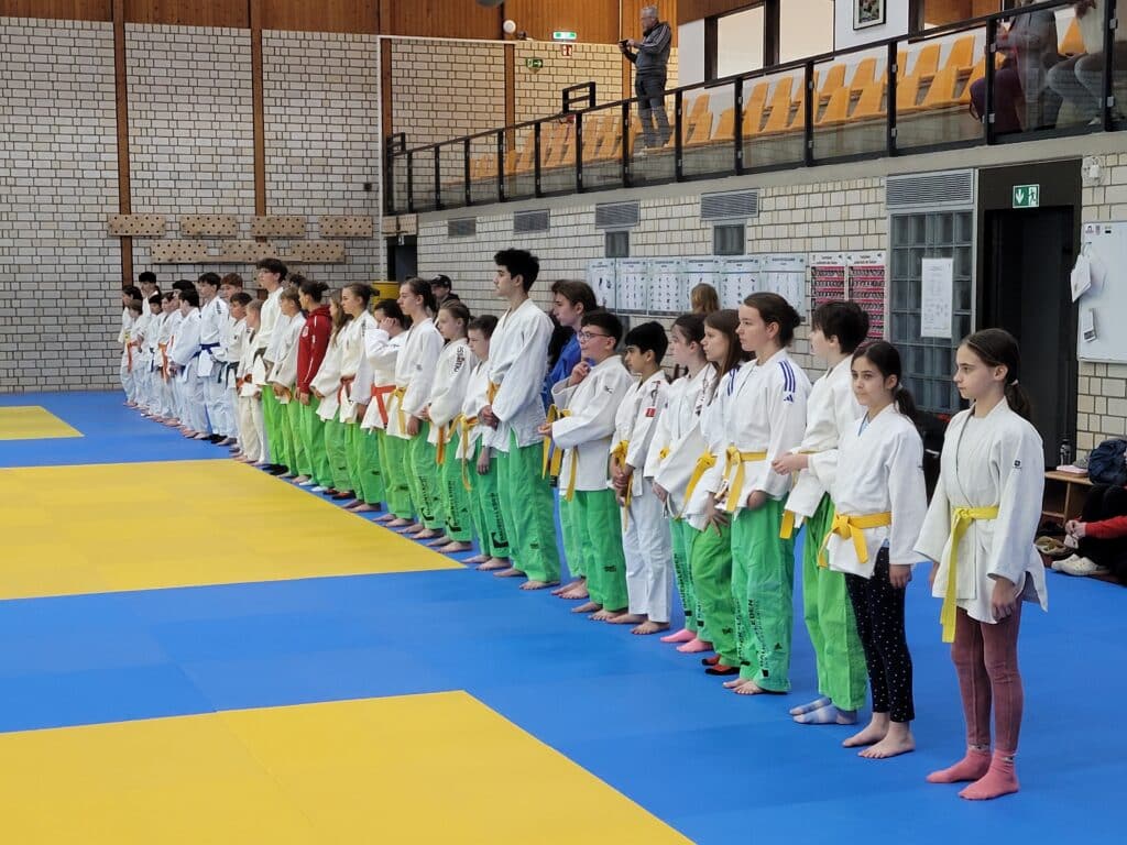 Eine Gruppe junger Judosportler mit weißen Jacken und farbigen Gürteln steht in einer Reihe auf einer blau-gelben Matte in einer Sporthalle.