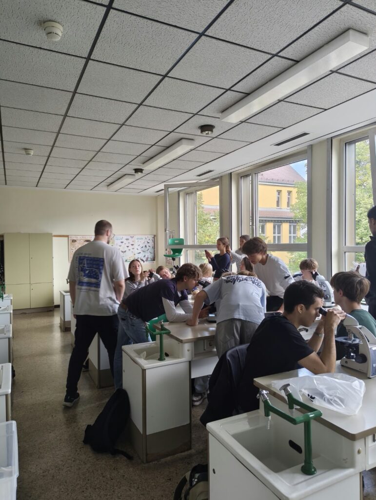 Die Schüler in einem Klassenzimmer arbeiten an Labortischen, einige davon mit Mikroskopen, während durch große Fenster, die den Blick auf Gebäude und Bäume freigeben, Tageslicht hereinströmt.