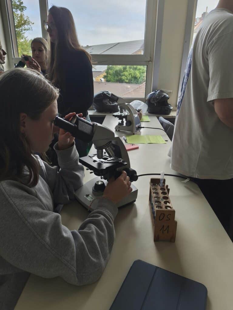Ein Schüler schaut an einem Labortisch mit Reagenzgläsern durch ein Mikroskop, während andere in einem Klassenzimmer mit großen Fenstern in der Nähe zuschauen und sich unterhalten.